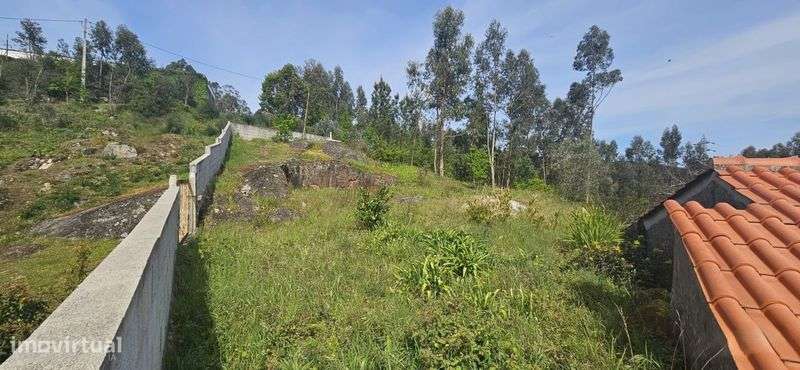 Terreno Rústico vista Rio Douro - Grande imagem: 4/7
