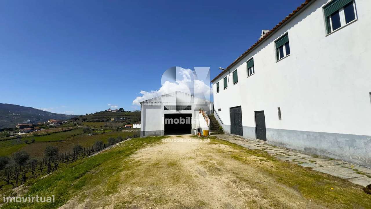 Quinta T4 - Grande imagem: 4/37