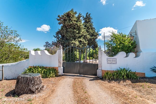 Monte / Quinta de 5,2 hectares, Sousel-Portalegre, com T3 e Piscina