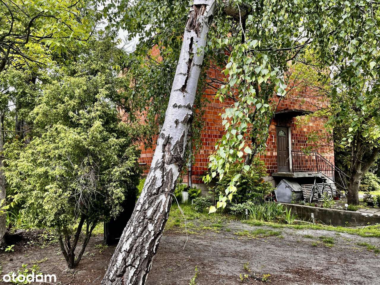 Dom 190m2 ogród 2156m2 MPZP centrum Paprotnia - Pełny obrazek: 5/18