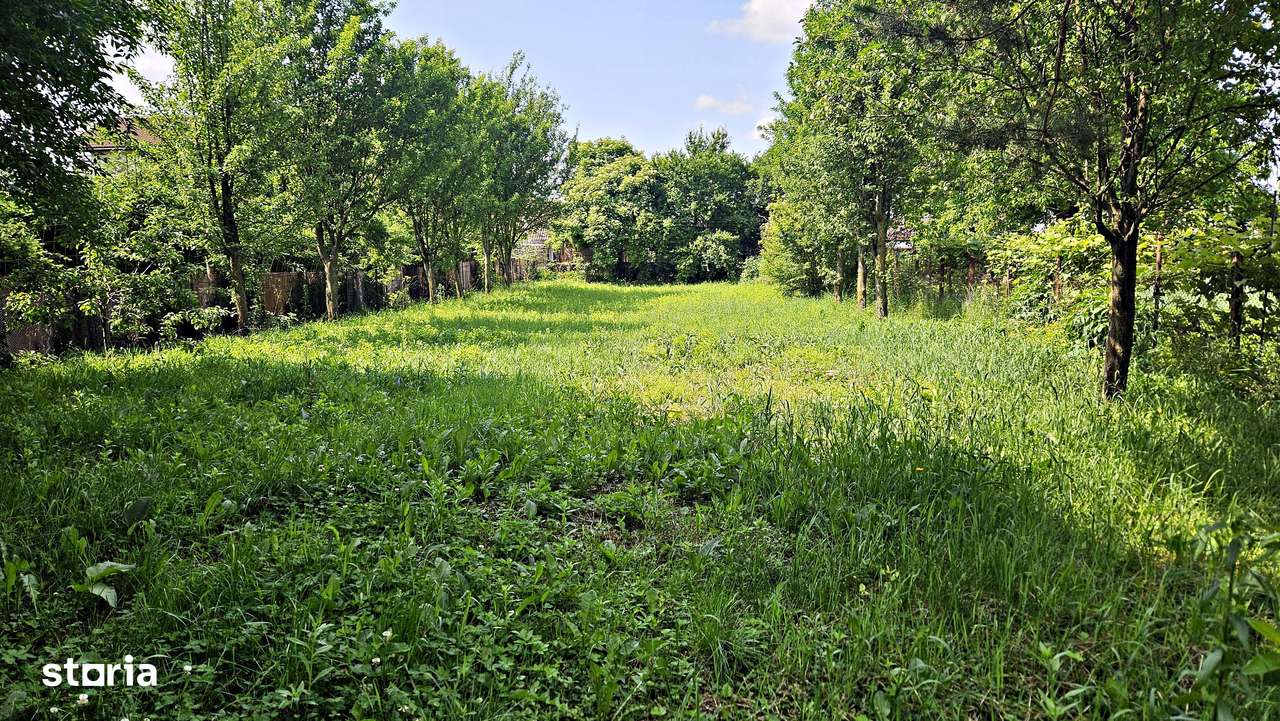 Cristian aproape de Primarie casa saseasca teren 1400 mp - Imagine principală: 4/19