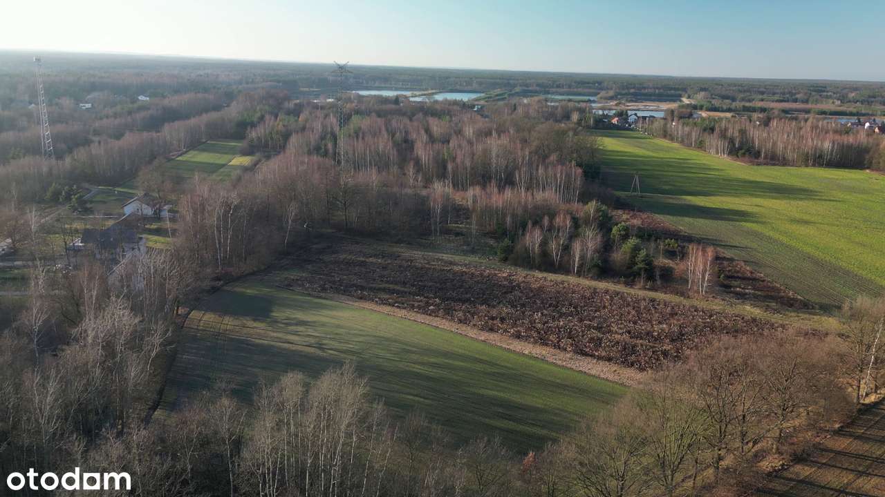 Sąsiedztwo jezior i lasów-0