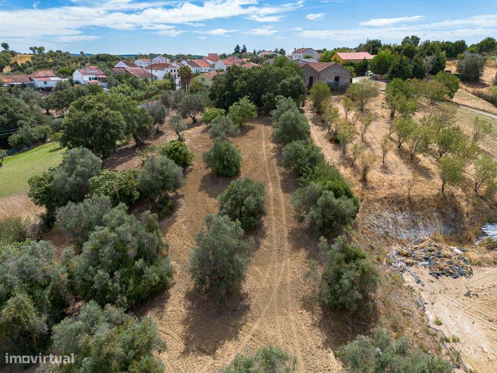 Terreno P/Construção-8