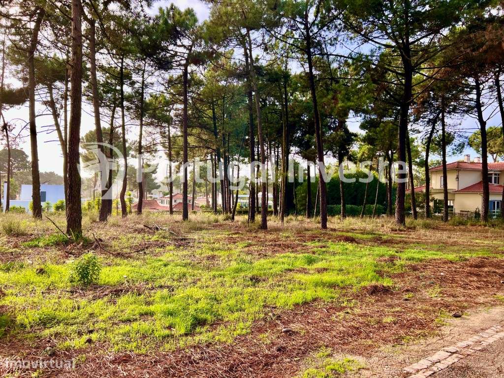 Magnifico terreno de 1307 m2, com projecto aprovado moradia T6 com ... - Grande imagem: 3/30