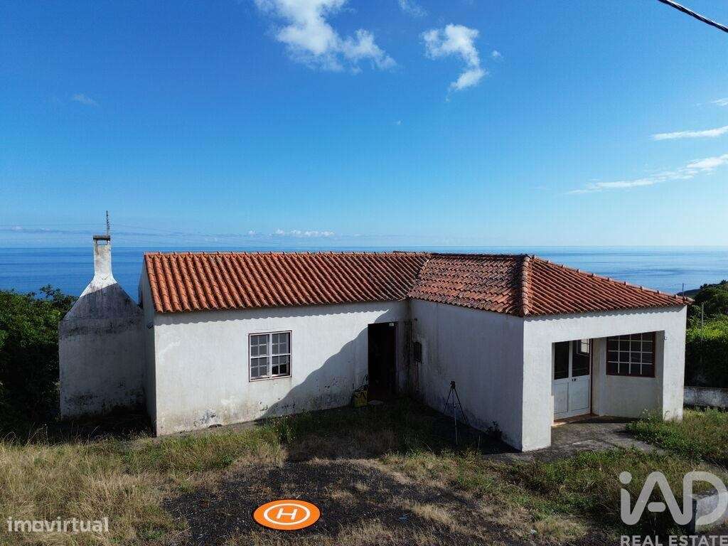 Loja / Estabelecimento Comercial T3 em Ribeiras de 159,00 m2 - Grande imagem: 4/15