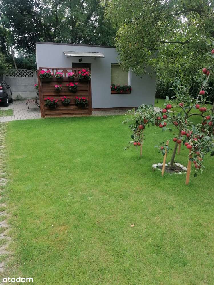 Działka ROD, Leszczyńska Poznań, 357m2, Domek 32m2, wjazd, brama pilot - Pełny obrazek: 3/17