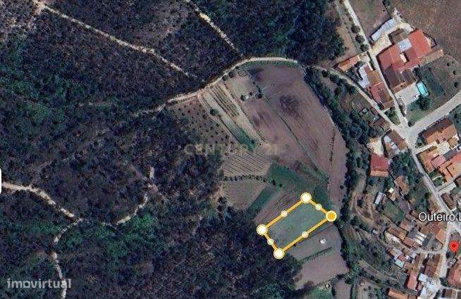 Terreno Rústico em Coimbra - Oportunidade Única por 2900€ - Grande imagem: 4/7