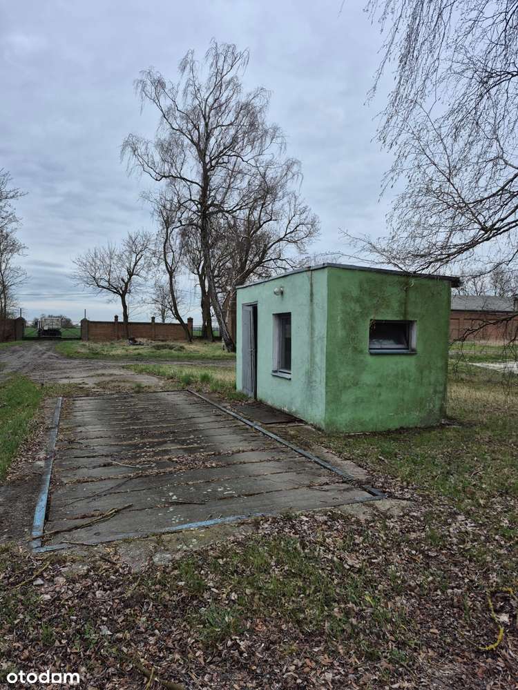 Sprzedaż działki 9824 m² - idealna lokalizacja - Pełny obrazek: 4/7