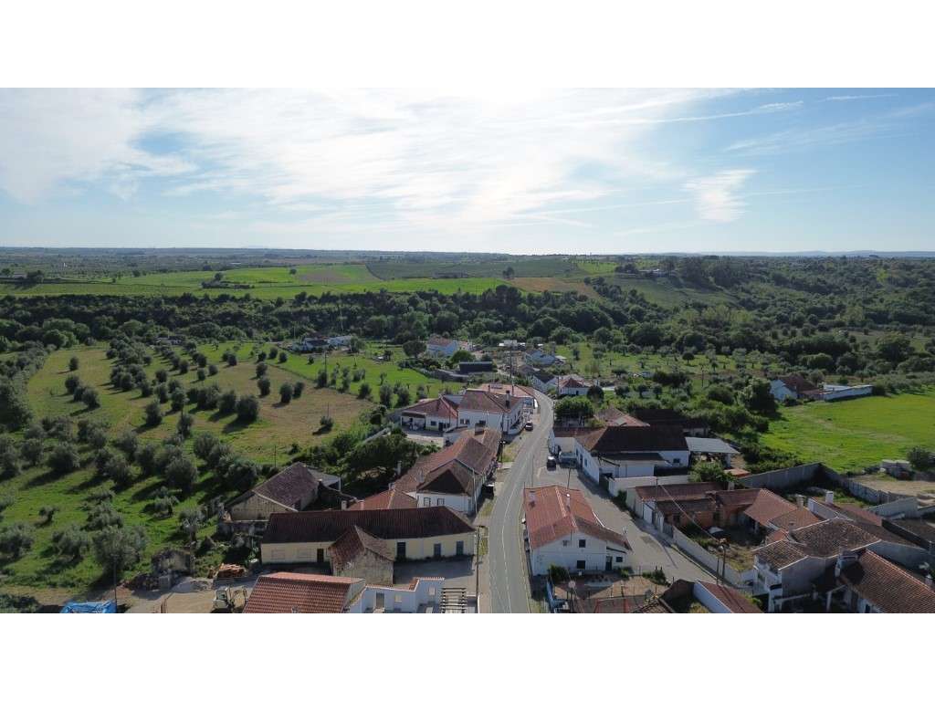 Vendese Quinta com Casa T4, Adega, Lagar e Terreno com Árvores de F...-47