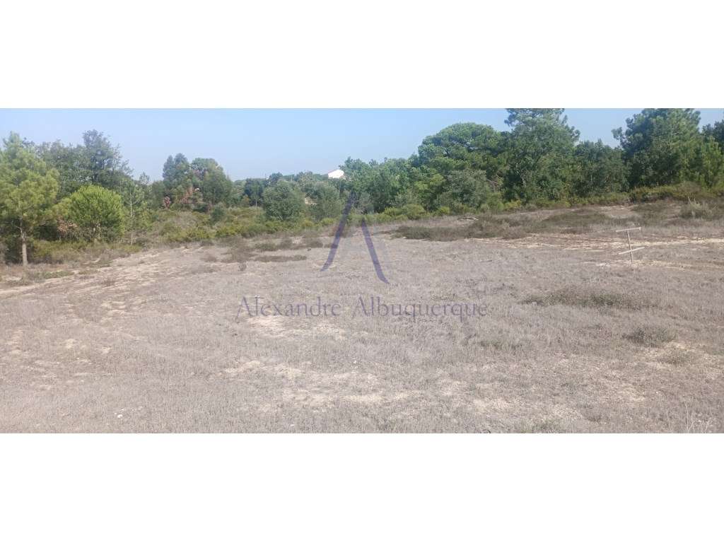 Terreno rústico com 1516 m2 - Grande imagem: 3/5