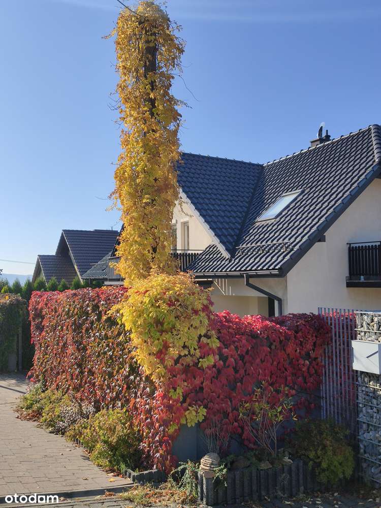 Dom z pięknym widokiem - Pełny obrazek: 5/20