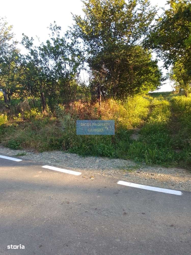 Teren intravilan 2.500 mp – Vieru, Giurgiu - Imagine principală: 3/4