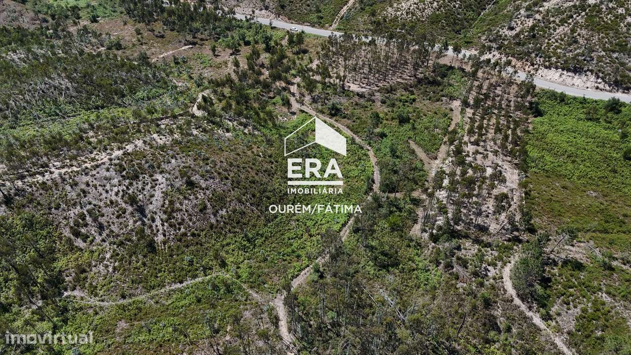 Terreno Florestal em Matas, Ourém-16