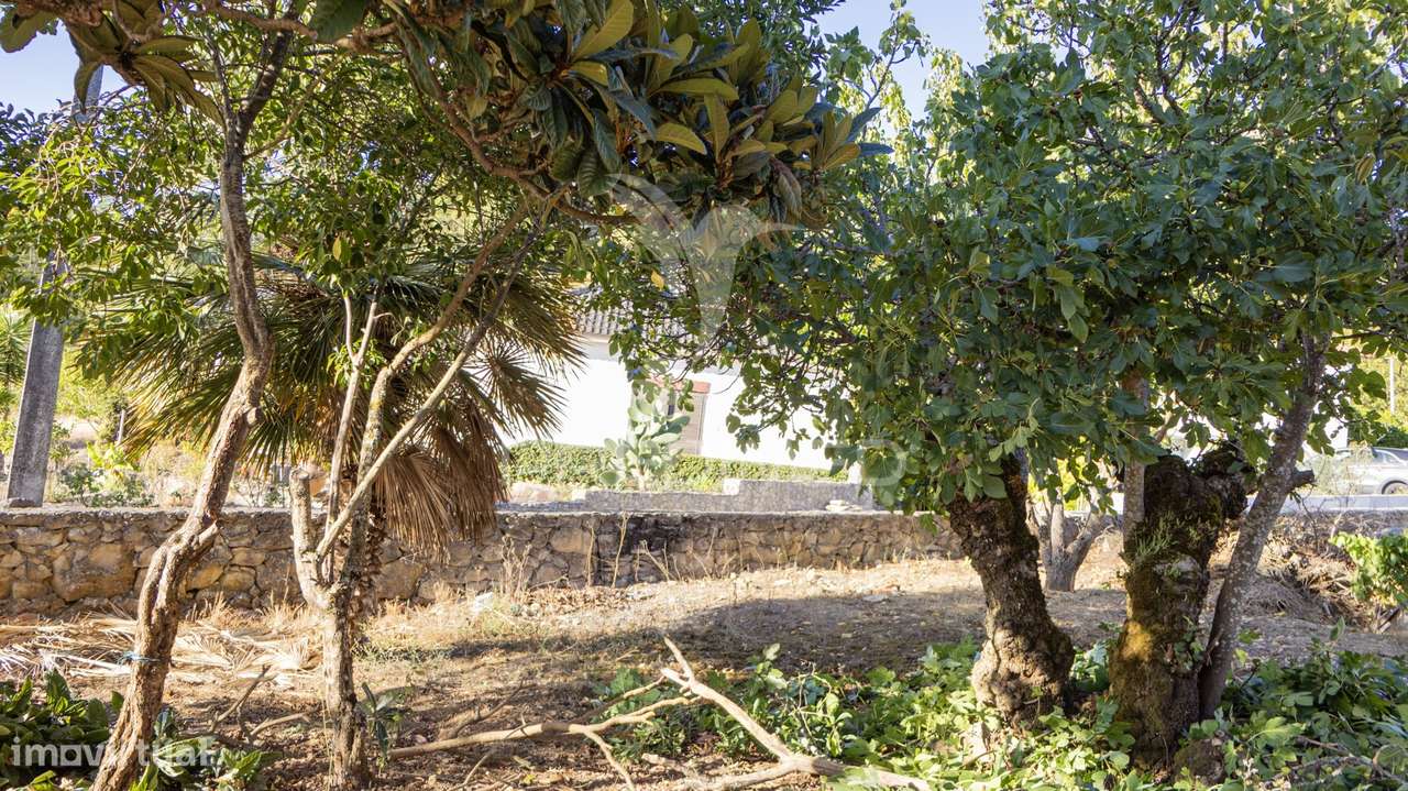 Moradia T2 a 5 minutos de Alcobaça - Grande imagem: 3/32