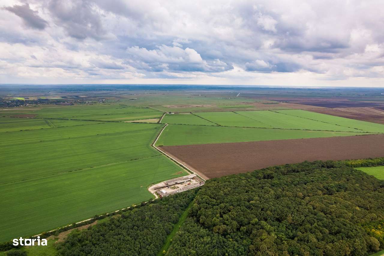 Teren arabil de 30 hectare în Constanța - Imagine principală: 2/3