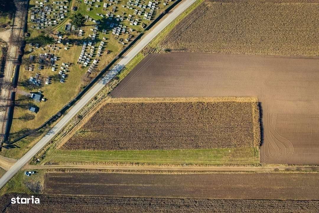 De vânzare teren intravilan ín intrare la Arcus - Imagine principală: 5/9