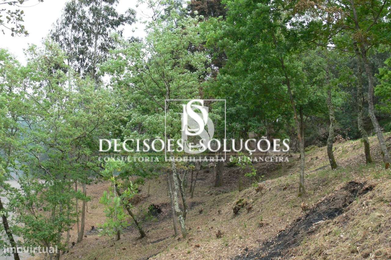 Terreno Não definido em Salamonde-6