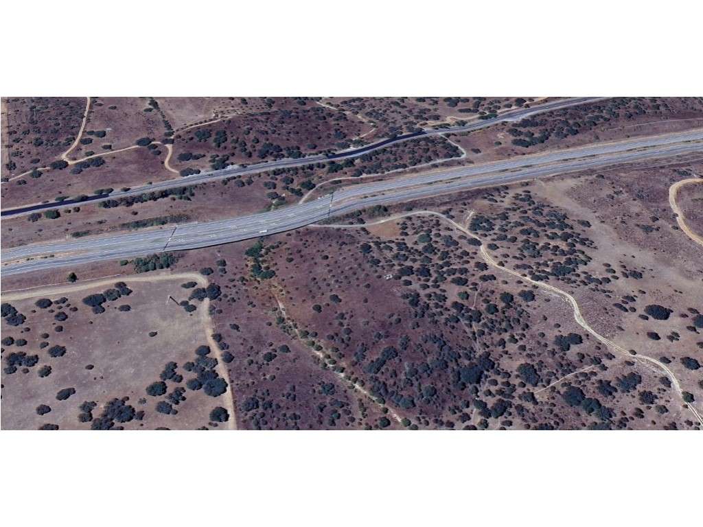 Terreno rústico com 11.800m2 a 10 minutos de Elvas-6