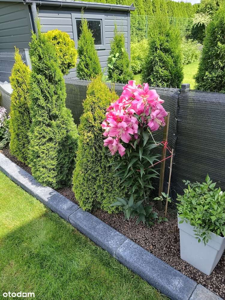 Mieszkanie z ogrodem i 2 miejscami parkingowymi Bezrzecze bezczynszowe - Pełny obrazek: 4/18