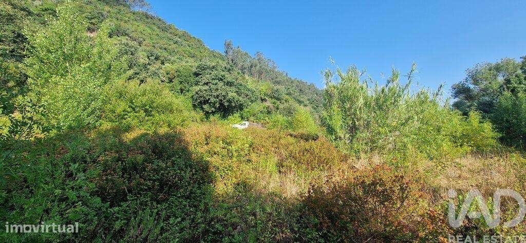 Terreno em Azueira e Sobral da Abelheira de 7500,00 m2 - Grande imagem: 5/18