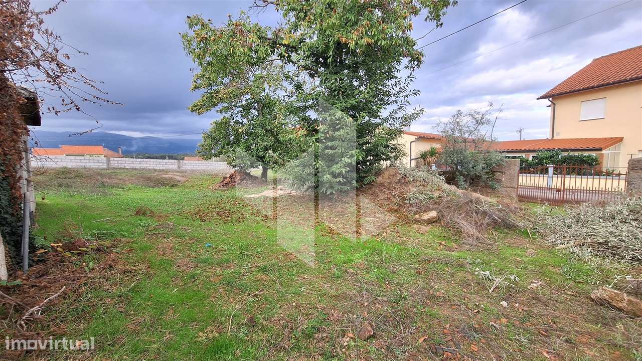 Moradia Devoluta T0 Venda em Molelos,Tondela-9