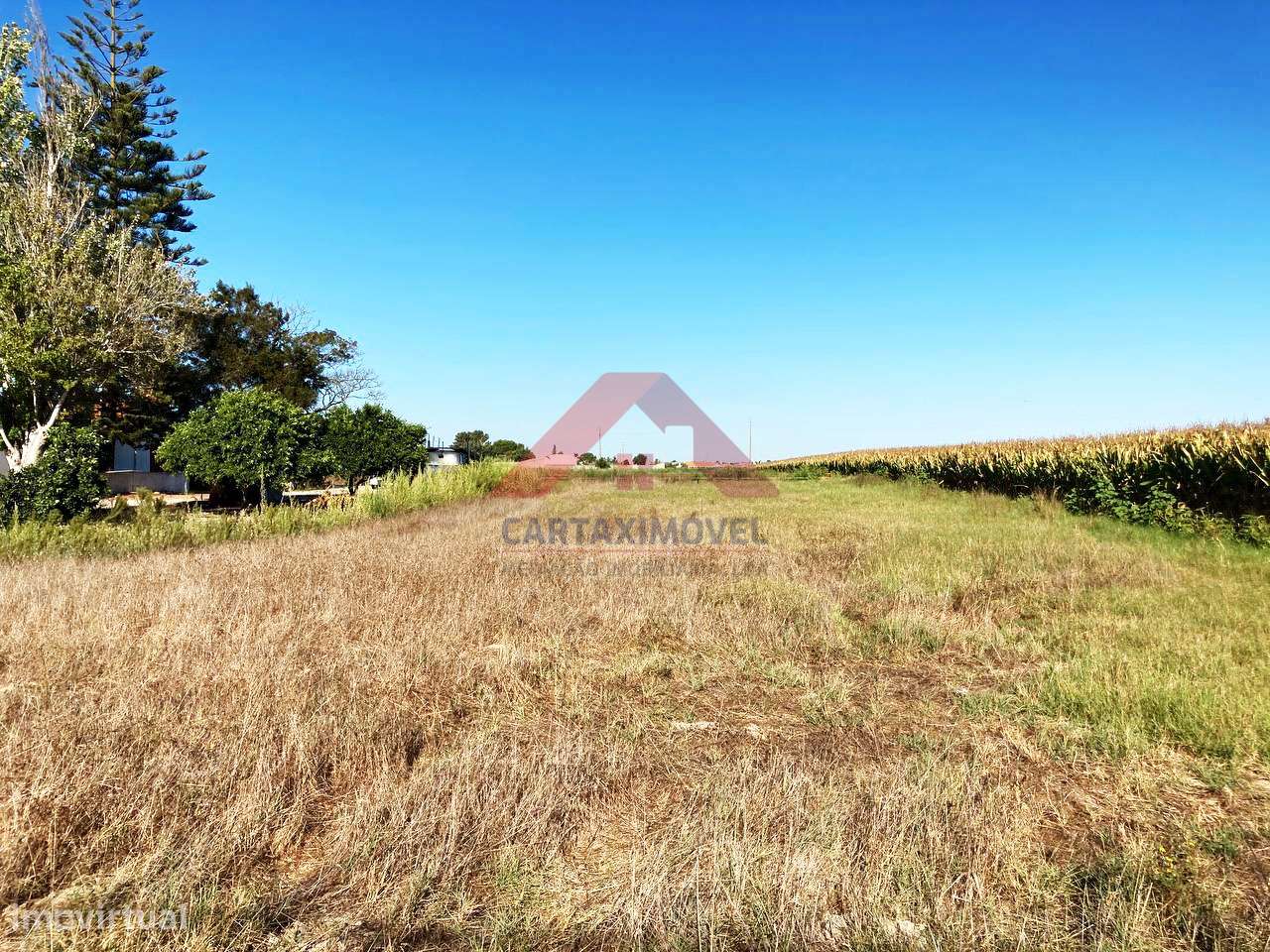 Terreno Urbano  Venda em Salvaterra de Magos e Foros de Salvaterra,Sal - Grande imagem: 5/6