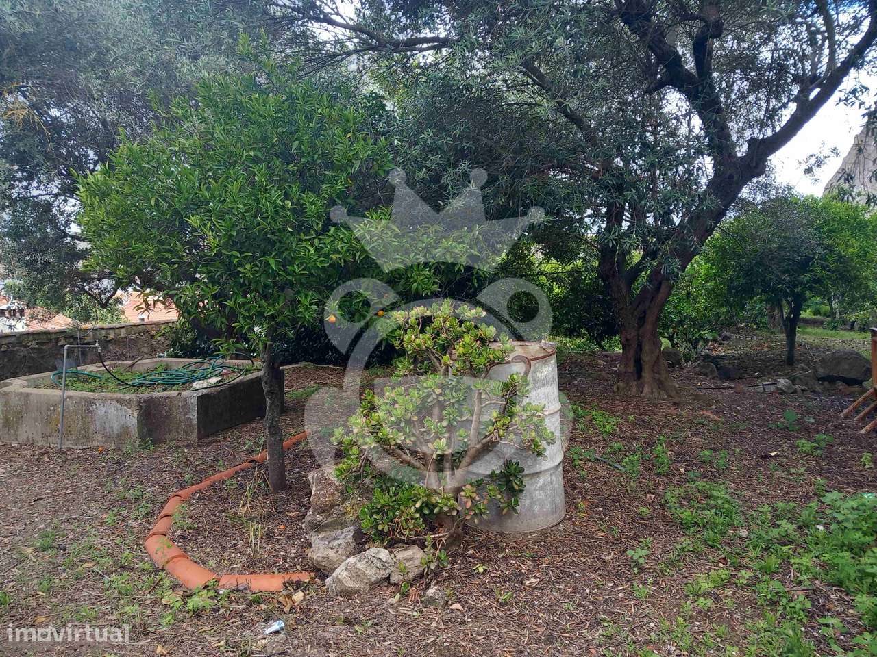 Moradia no Centro Histórico de Serpa-22