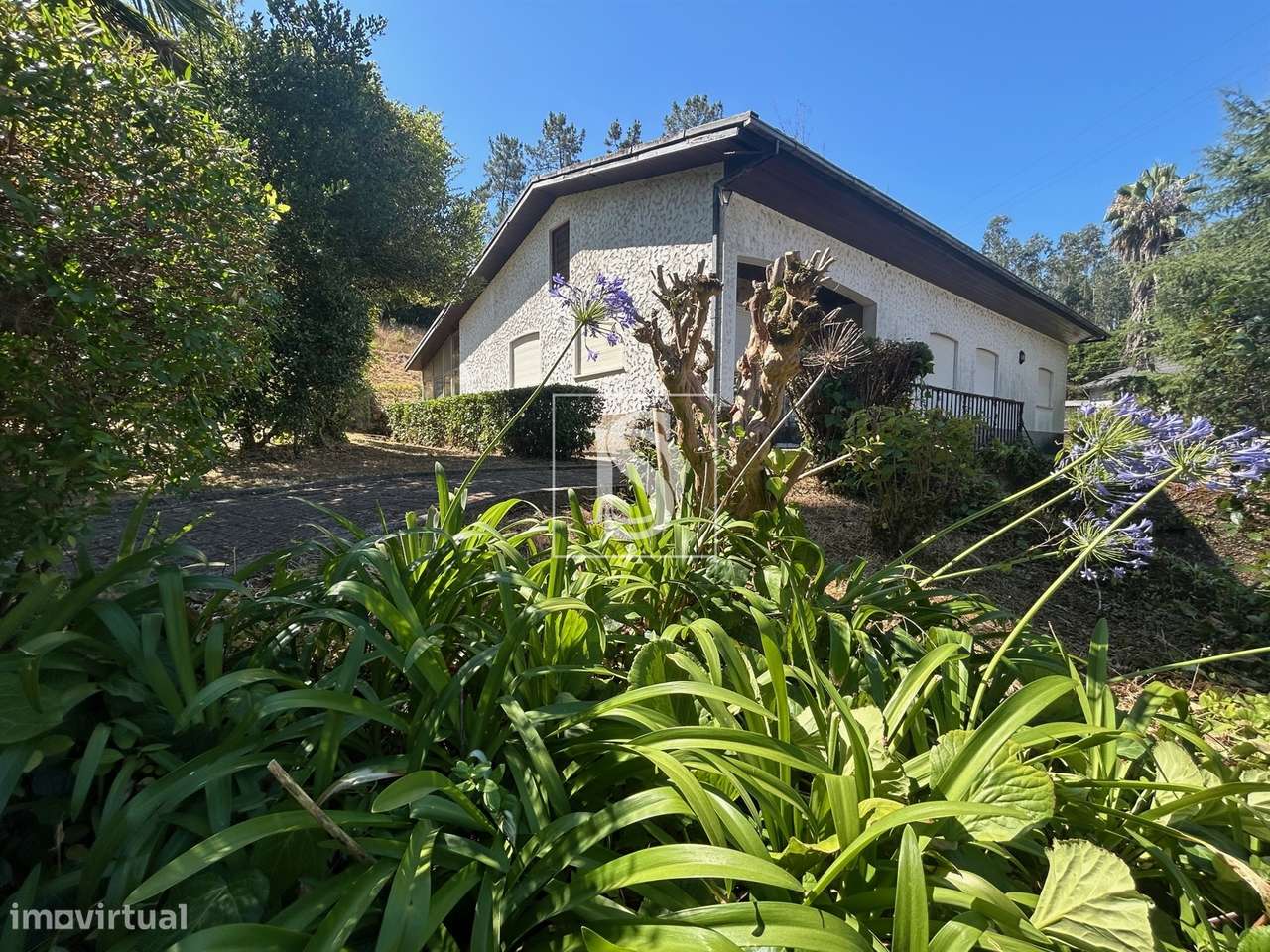 Quinta com 24.300m² em Vale de Açores, Mortágua-44