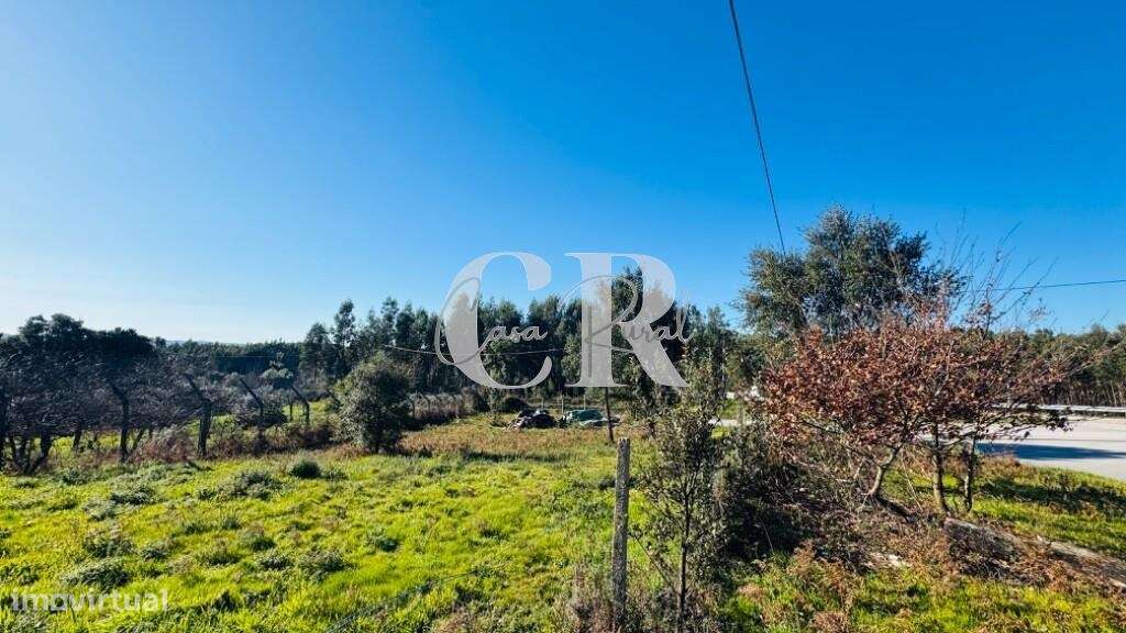 terreno com viabilidade de construção - Grande imagem: 5/5