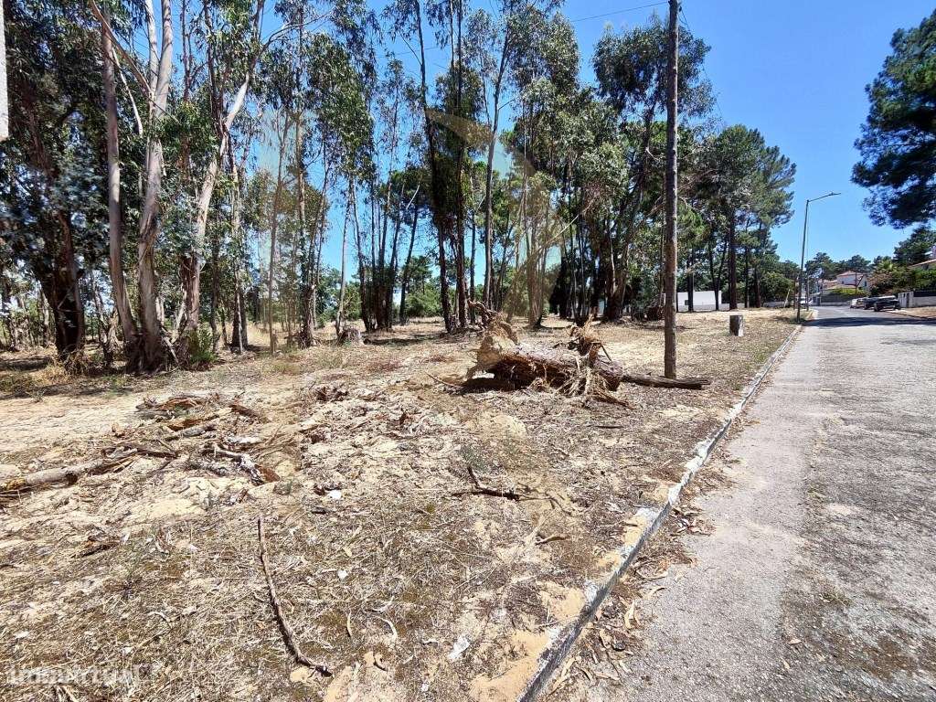 Venda conjunta de 105 lotes de terreno na Urbanização Pinhal de Neg...-17