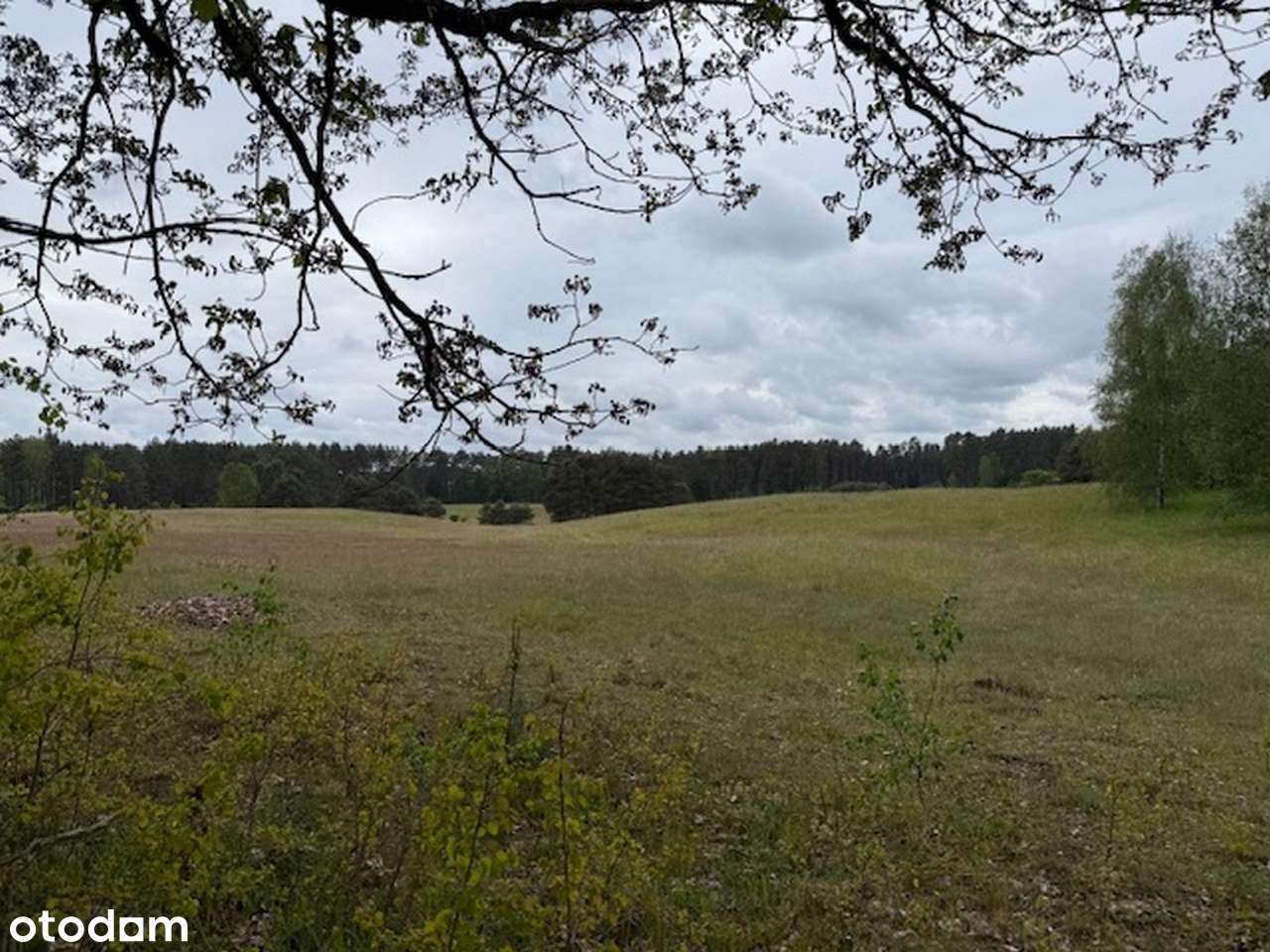 Syndyk masy upadłości sprzeda działki rolne - Pełny obrazek: 4/13