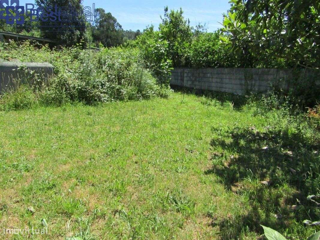 Terreno 4000 m2-c/1500 m2 de área p/construção Moradias-A 3 Min. do-19