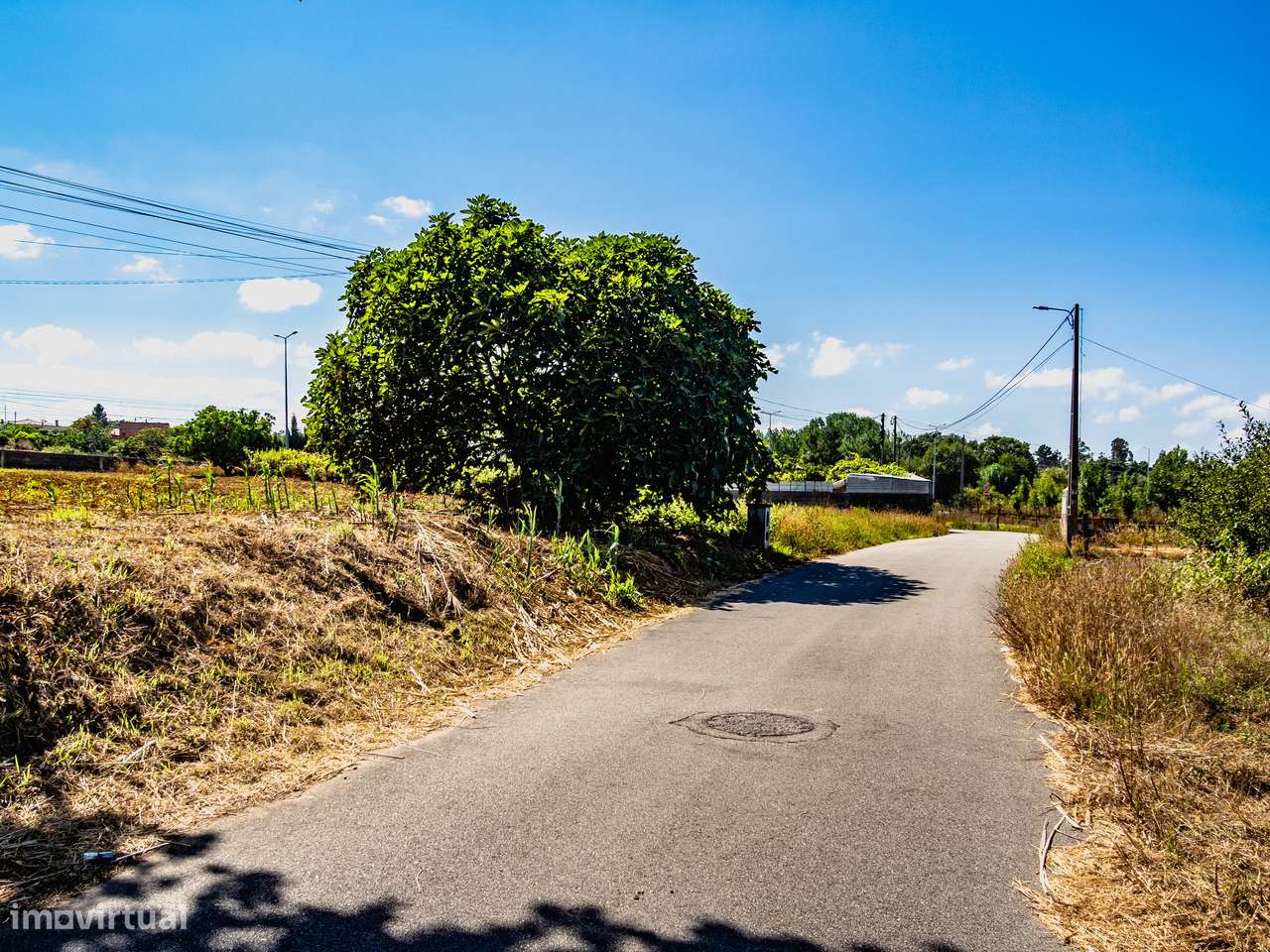 Terreno para construção de moradia isolada, Oiã, Oliveira do Bairro-9