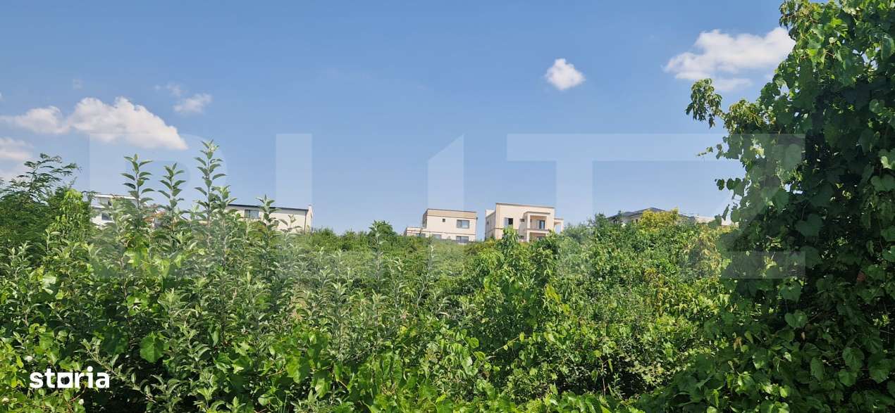 Teren intravilan 9600mp, Plaiul Vulcanesti, OMV-3