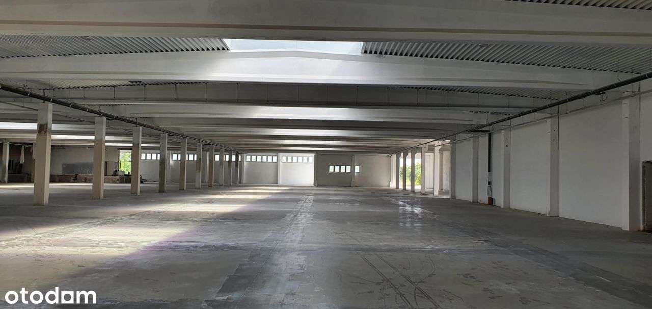 Powierzchnia magazynowo - produkcyjna - Pełny obrazek: 5/7