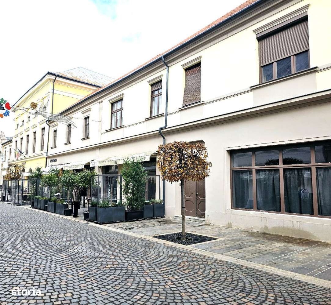 Apartament ultracentral cu diverse oportunități de exploatare-8