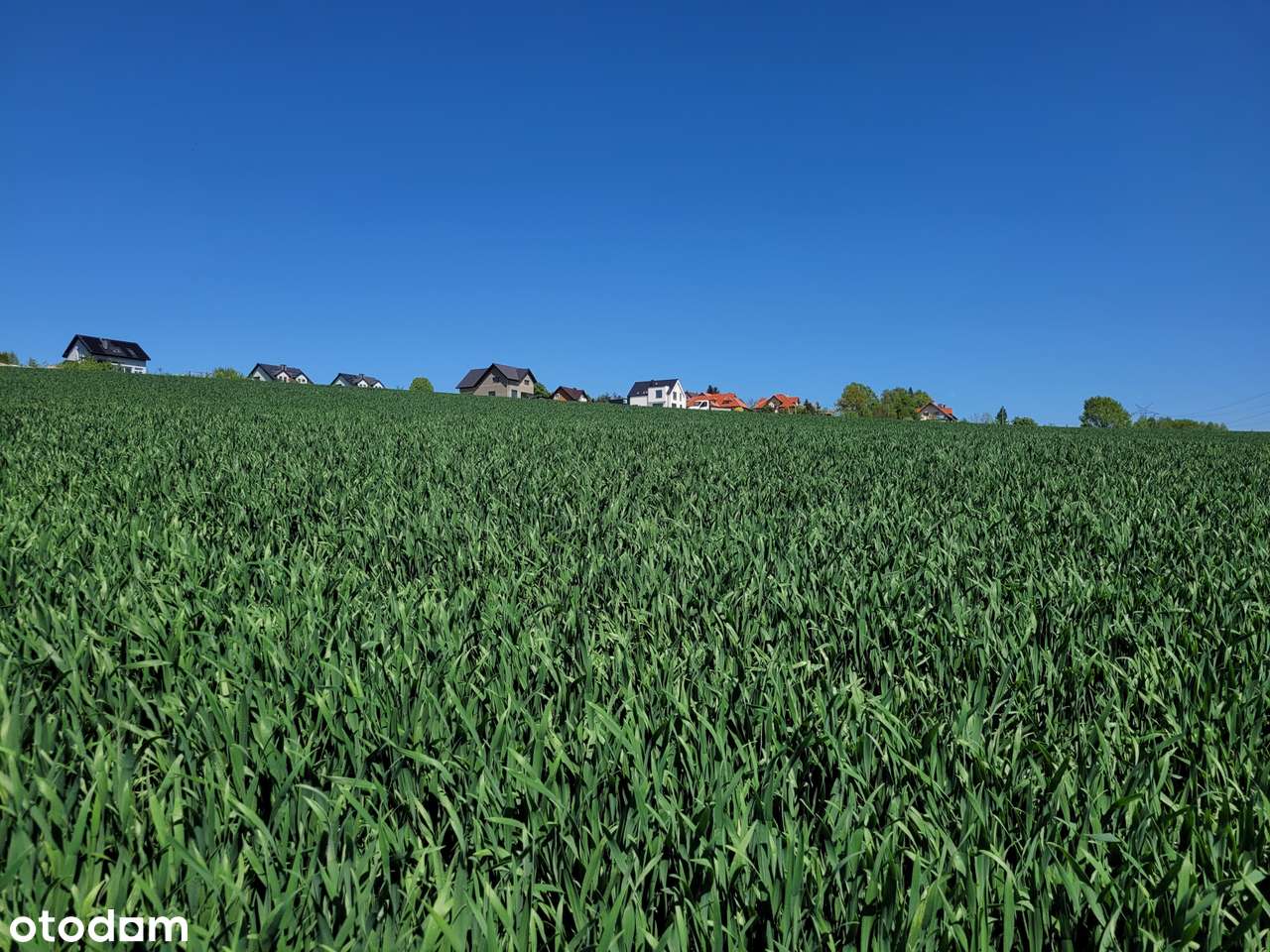 13 a Ochojno | Widokowa | MPZP - Pełny obrazek: 5/8