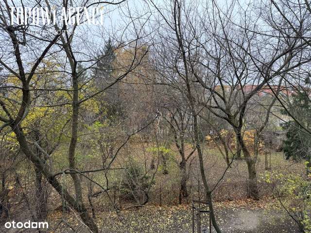 2 pokoje 47 m, Kamienica, przy Królikarni-15