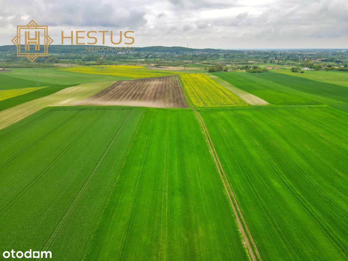 Działka inwestycyjna blisko Zalewu Żółtańce - Pełny obrazek: 5/11
