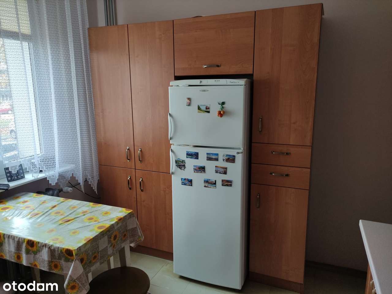 Okazja mieszkanie 2 pokojowe na Barwinku na parterze - Pełny obrazek: 5/13