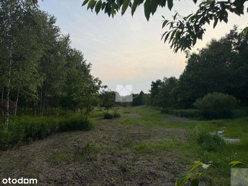 Działka rekreacyjna | WZ | Cienkie-3