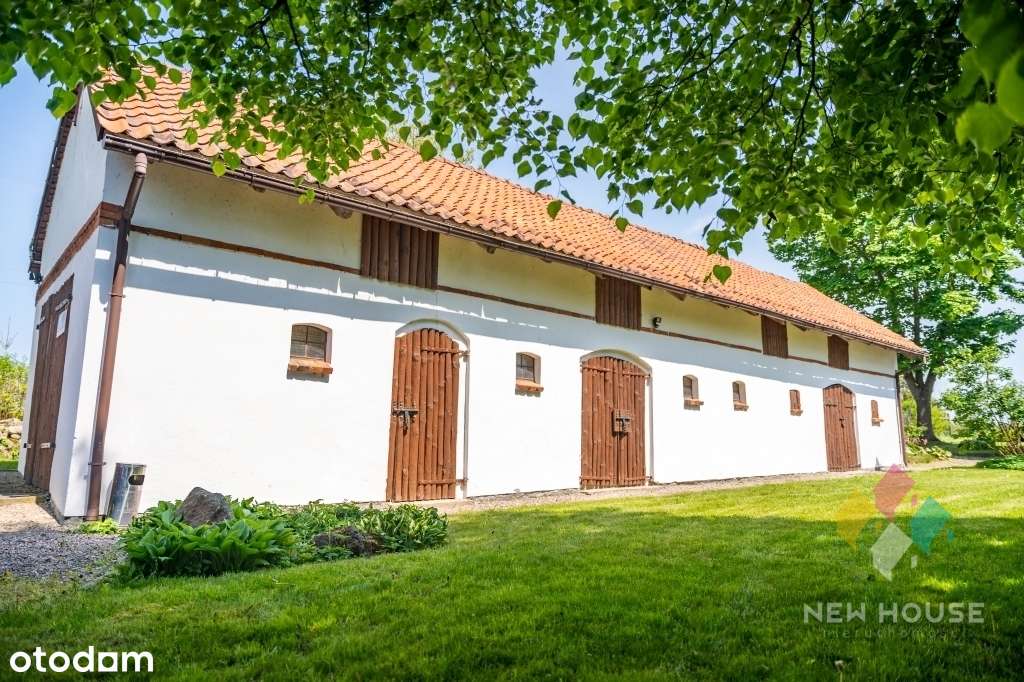 Ławki, siedlisko z linią brzegową, własny sad - Pełny obrazek: 5/20