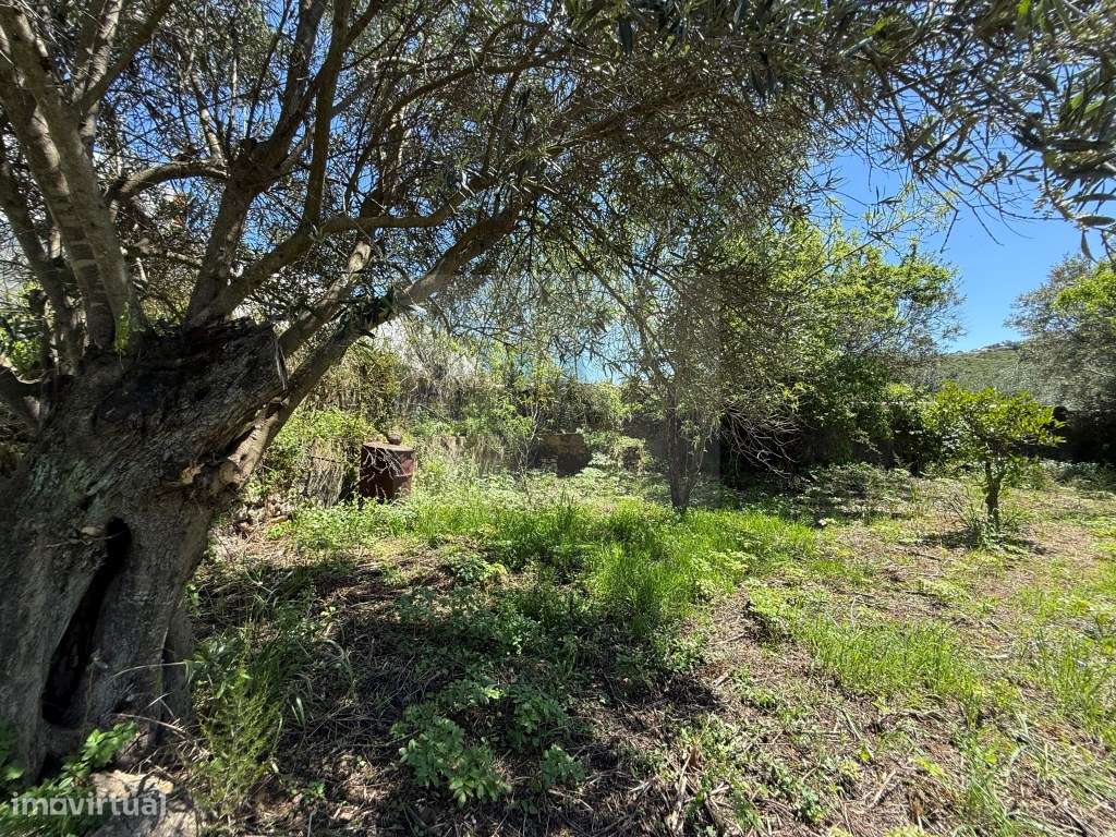 Terreno para Construção | São Brás de Alportel - Grande imagem: 2/18
