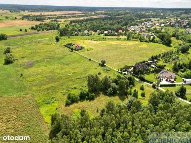 Działki Kozienice (Janów) - Pełny obrazek: 5/6
