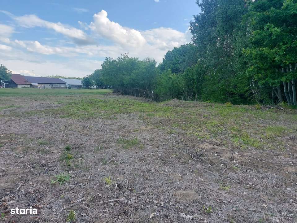 Teren intravilan 1843 mp - Cerbu/Albota/Arges - cu proiect de casa pe - Imagine principală: 2/8