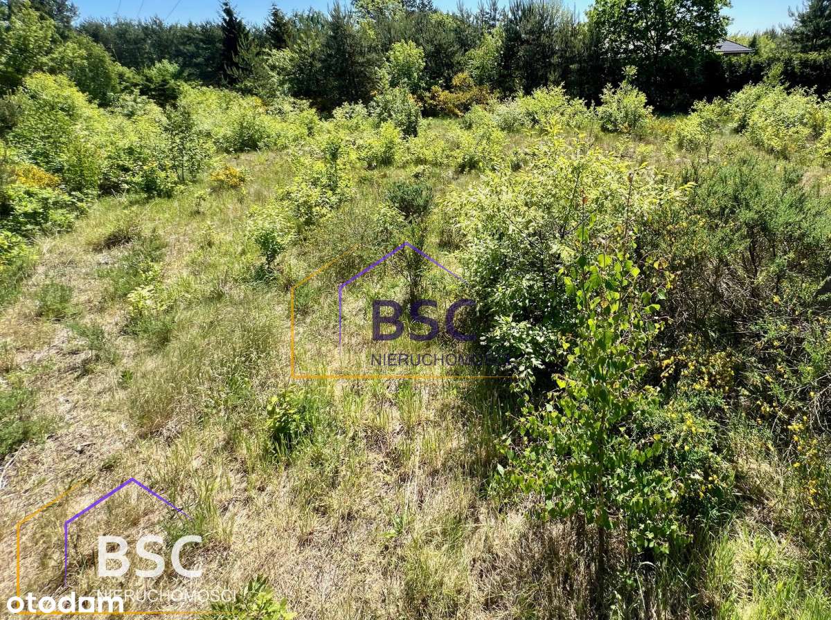 Duża i tania działka w gminie Serock-5