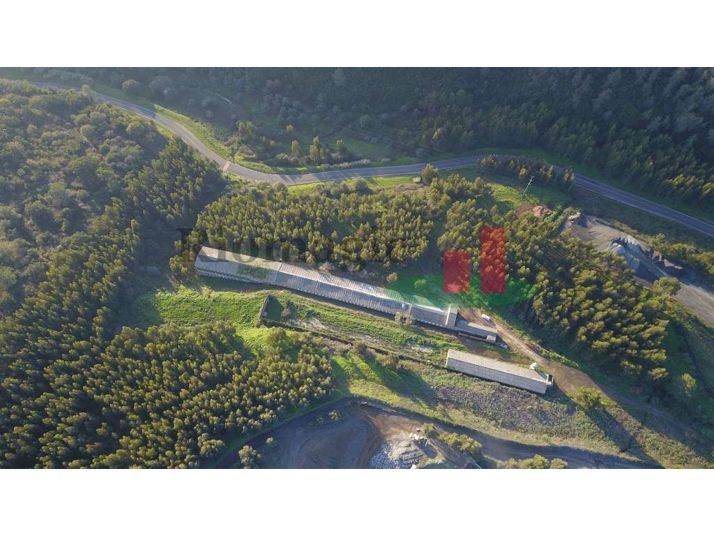 Terreno Rustico em Pé da Serra - Rio Maior***RIOMAGIC*** - Grande imagem: 2/10