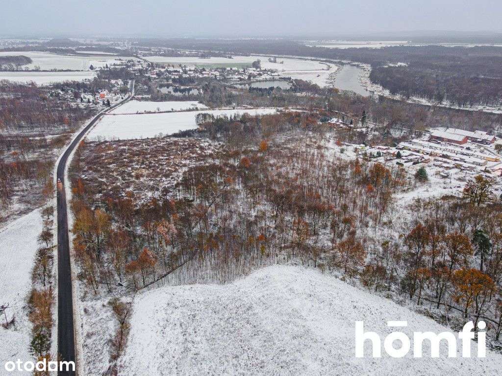 [Licytacja] Grunty W Pogalewie Wielkim - 9,43 Ha - Pełny obrazek: 5/11