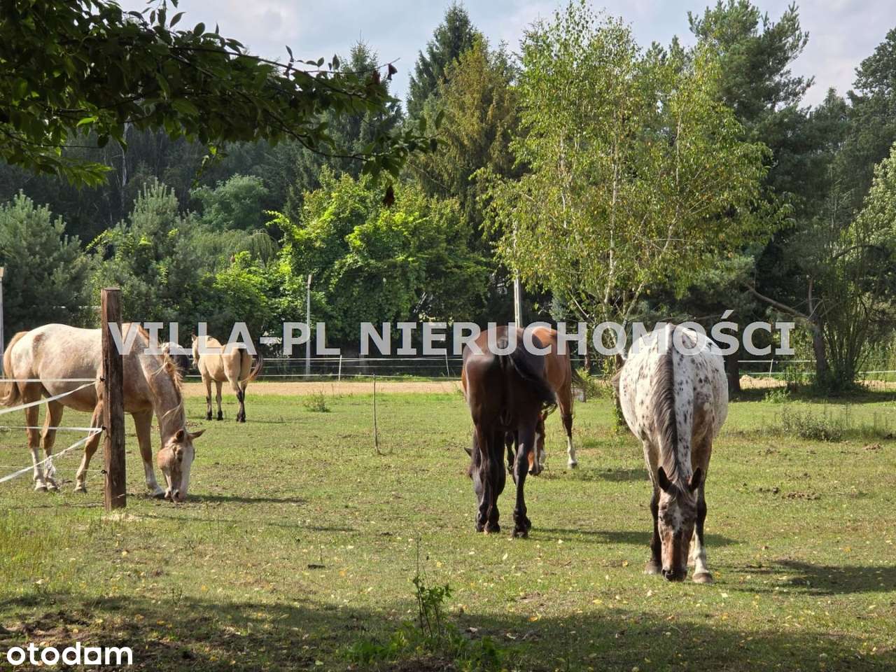 0% działki budowlane różne wielkości do wyboru - Pełny obrazek: 5/5