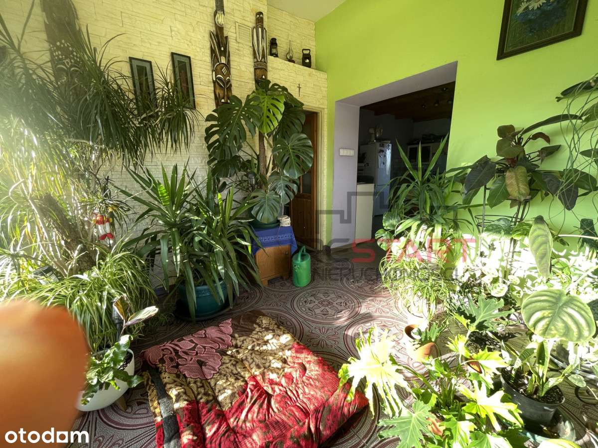 Urokliwe siedlisko w Korabiewicach-14